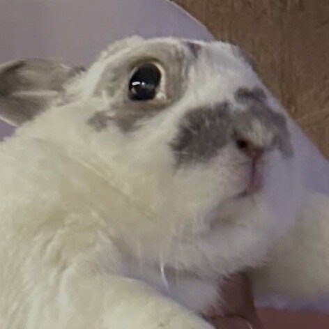 152262
