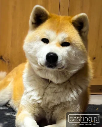 150438