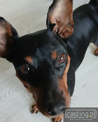 Użytkownik 157232